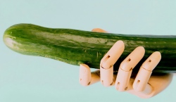 Pemetaan Zakar – Peta Rahsia Keseronokan